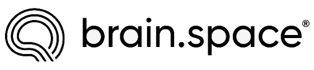 brain.space 标志